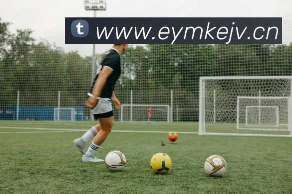 milan登录入口全站App